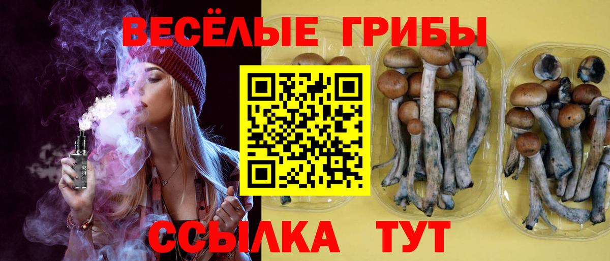 Псилоцибиновые грибы Cubensis  Псилоцибиновые грибы Psilocybine cubensis  Вход с VPN  Мурино 
